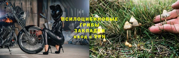 mix Абаза