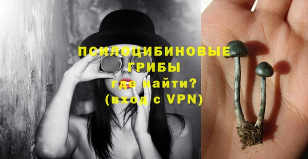 мяу мяу мука Абдулино