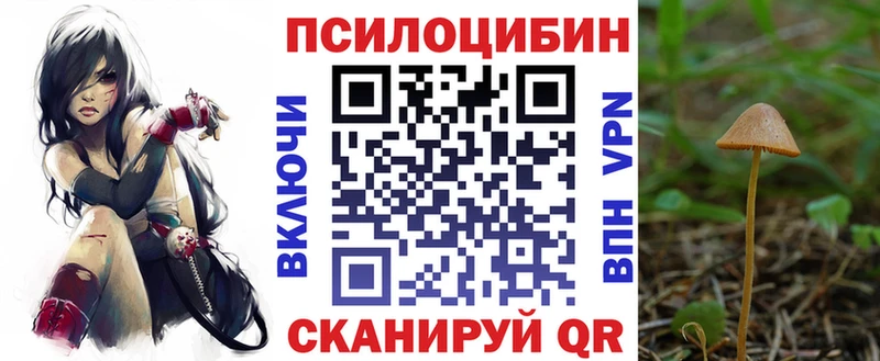 купить наркотики сайты  Нахабино  Псилоцибиновые грибы Magic Shrooms 